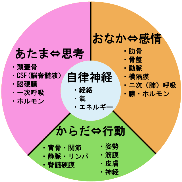 ４つの施術ポイントと整体哲学