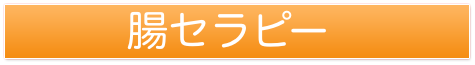 西永福ヴィッシュ整体院健研工房の腸セラピーメニュー